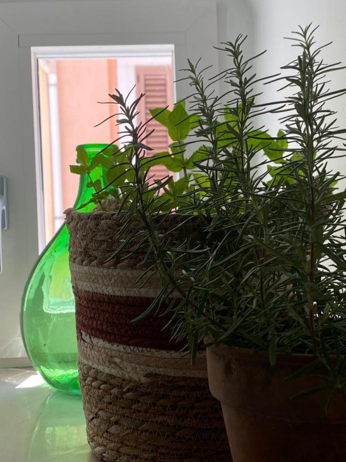 A Casa Del Console Apartment Manfredonia Dış mekan fotoğraf